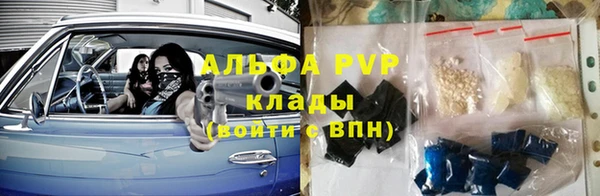 бошки Богданович