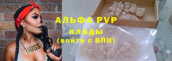 стафф Богородск
