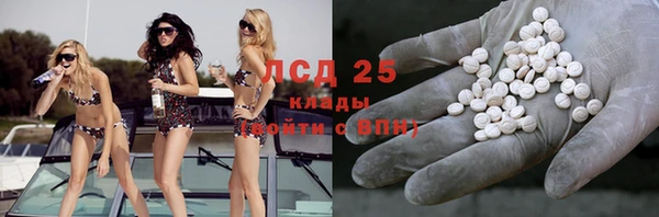 стафф Ростов