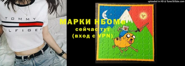 ECSTASY Богородицк