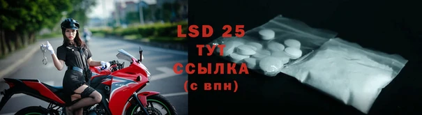 ECSTASY Богородицк