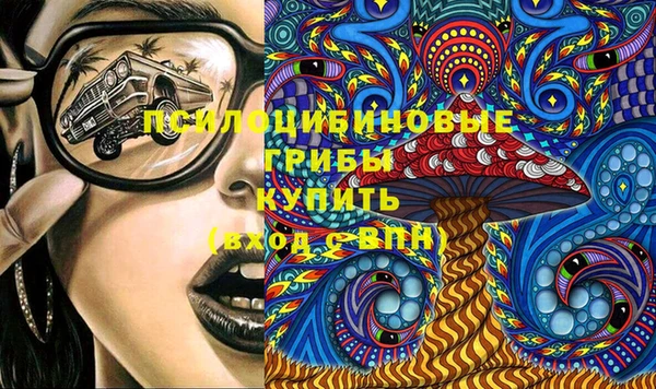 бошки Богданович
