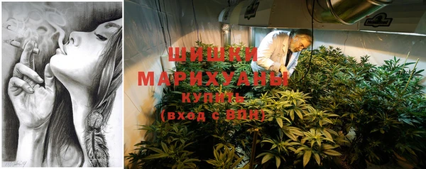 ECSTASY Богородицк