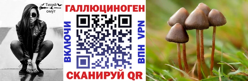 что такое наркотик  Красный Сулин  omg зеркало  Галлюциногенные грибы Magic Shrooms 